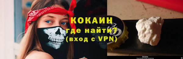 крисы Дмитров