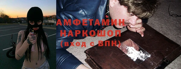 крисы Дмитров