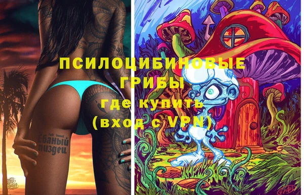 экстази Дмитриев