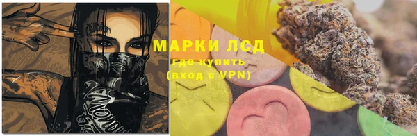 крисы Дмитров