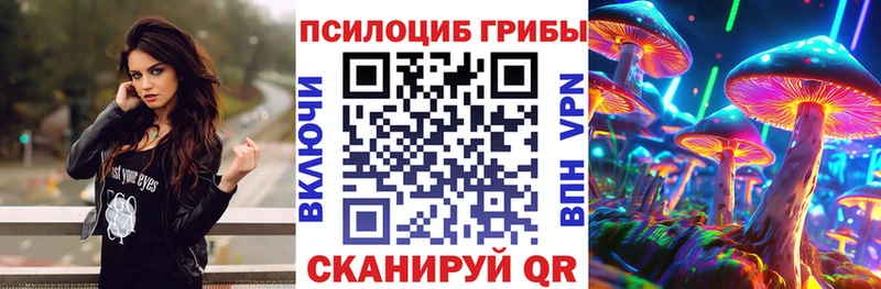 Галлюциногенные грибы Cubensis  Звенигород 